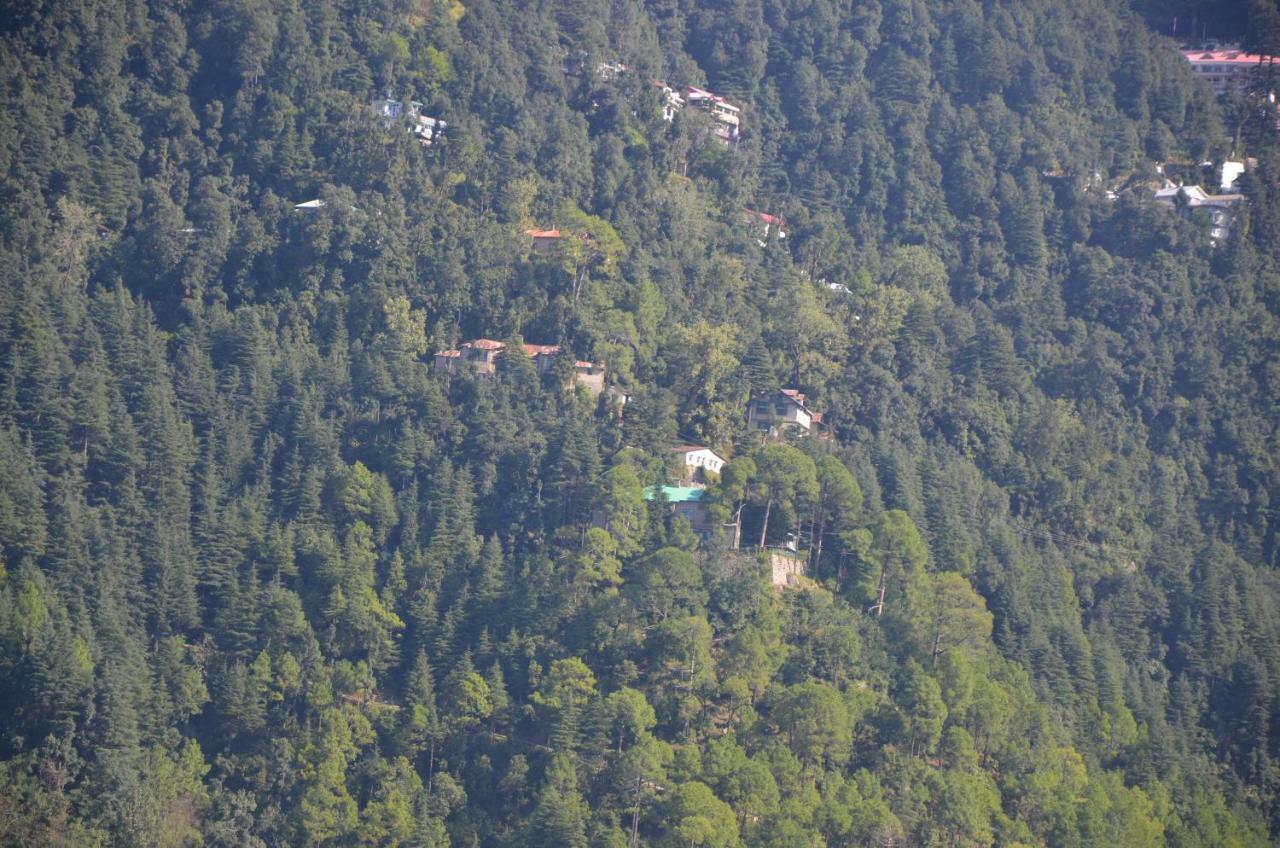 Peaceful Retreat Home Stay, Dalhousie Kültér fotó